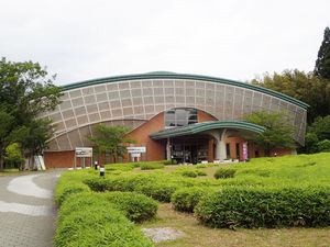 イメージ1
